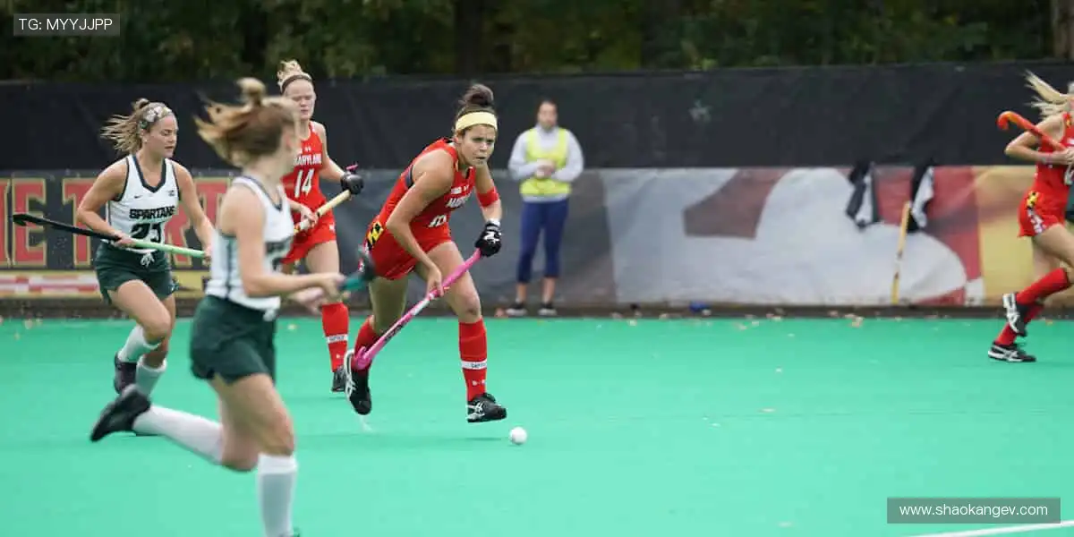 🎯精准数据，深度解析赛事背后的故事！